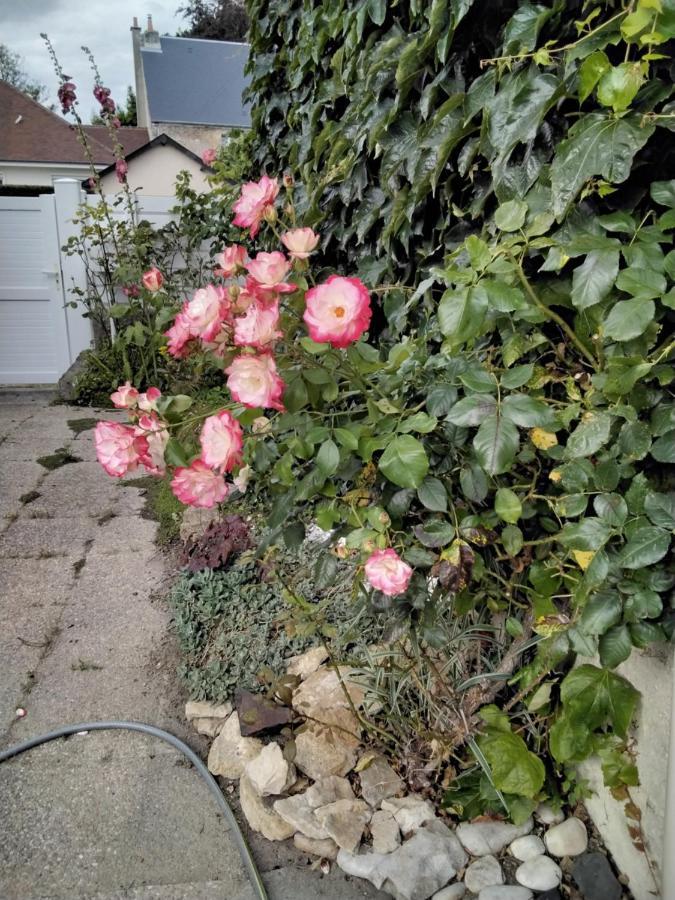 Hortensias Asnelles Exteriér fotografie